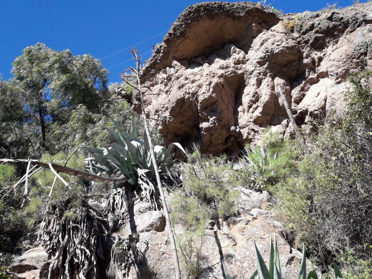 Casa Cueva Juncalillo Garden المظهر الخارجي الصورة